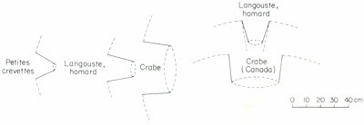 GUIDE PRATIQUE DU MARIN PÊCHEUR