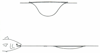 GUIDE PRATIQUE DU MARIN PÊCHEUR