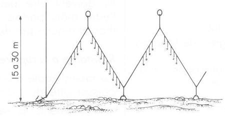 GUIDE PRATIQUE DU MARIN PÊCHEUR