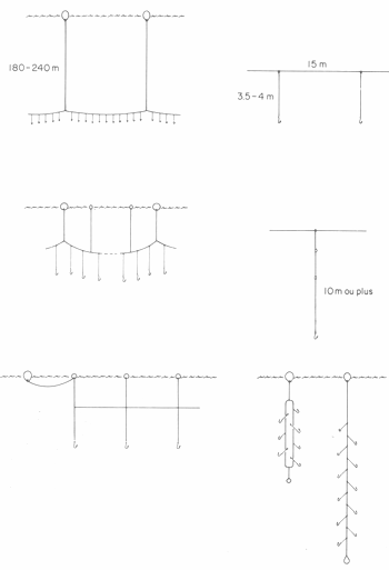 GUIDE PRATIQUE DU MARIN PÊCHEUR