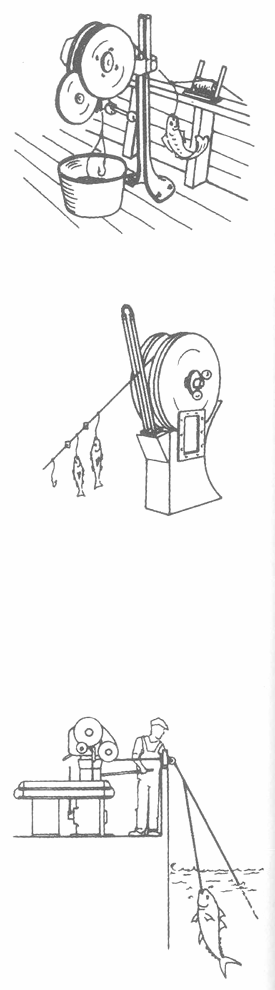 Guida pratica DEL PESCATORE