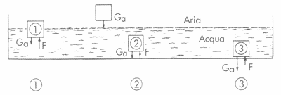 Guida pratica DEL PESCATORE