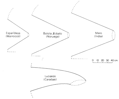 GUIA PR�TICO DO PESCADOR