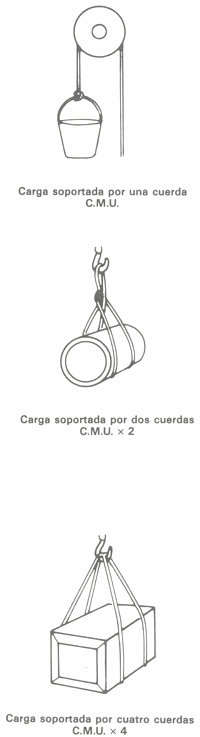 GU�A DE BOLSILLO DEL PESCADOR