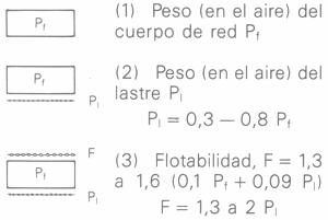 GU�A DE BOLSILLO DEL PESCADOR