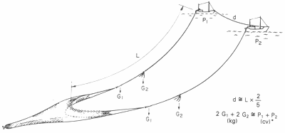 GU�A DE BOLSILLO DEL PESCADOR
