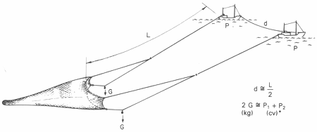 GU�A DE BOLSILLO DEL PESCADOR