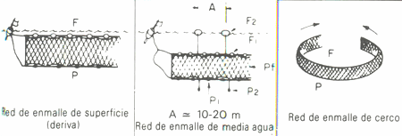 GU�A DE BOLSILLO DEL PESCADOR