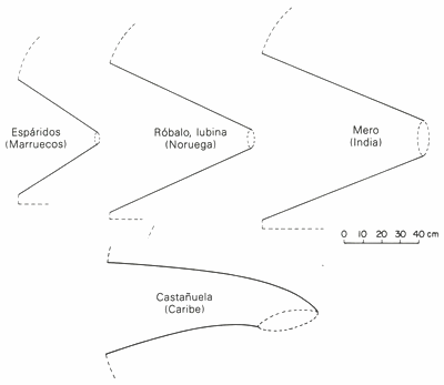 GU�A DE BOLSILLO DEL PESCADOR