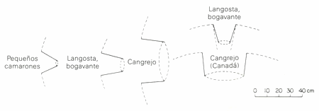 GU�A DE BOLSILLO DEL PESCADOR