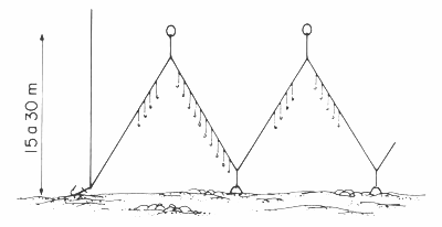 GU�A DE BOLSILLO DEL PESCADOR