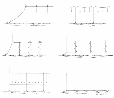 GU�A DE BOLSILLO DEL PESCADOR