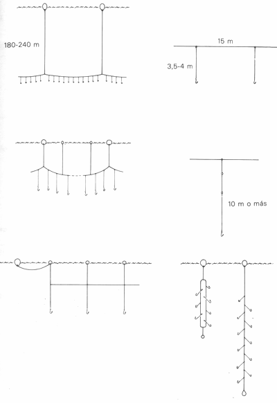 GU�A DE BOLSILLO DEL PESCADOR