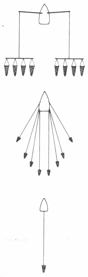 GU�A DE BOLSILLO DEL PESCADOR