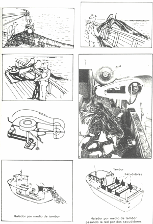 GU�A DE BOLSILLO DEL PESCADOR