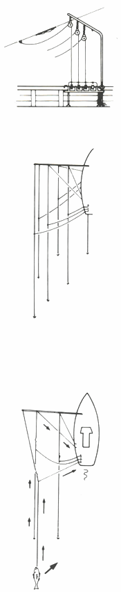 GU�A DE BOLSILLO DEL PESCADOR