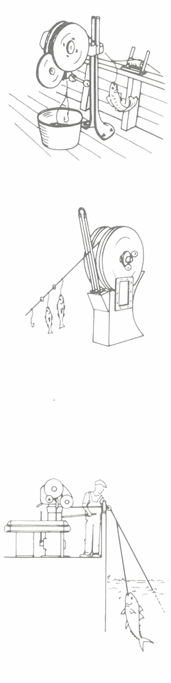 GU�A DE BOLSILLO DEL PESCADOR