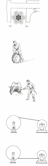 GU�A DE BOLSILLO DEL PESCADOR