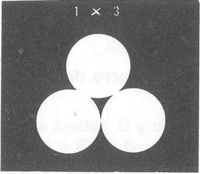 GU�A DE BOLSILLO DEL PESCADOR