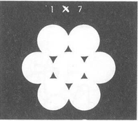 GU�A DE BOLSILLO DEL PESCADOR