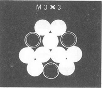 GU�A DE BOLSILLO DEL PESCADOR