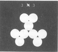 GU�A DE BOLSILLO DEL PESCADOR