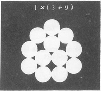 GU�A DE BOLSILLO DEL PESCADOR