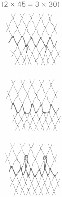 GU�A DE BOLSILLO DEL PESCADOR