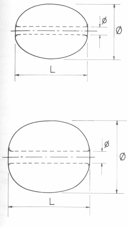 GU�A DE BOLSILLO DEL PESCADOR