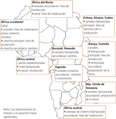 Perspectivas de Cosechas y Situaci�n Alimentaria