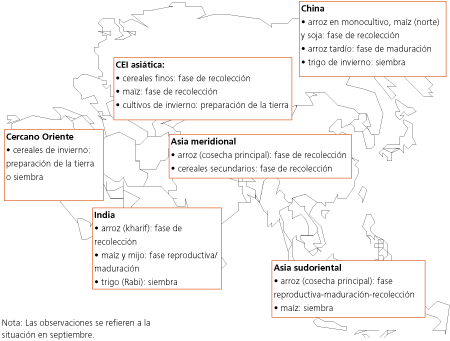 Perspectivas de Cosechas y Situaci�n Alimentaria