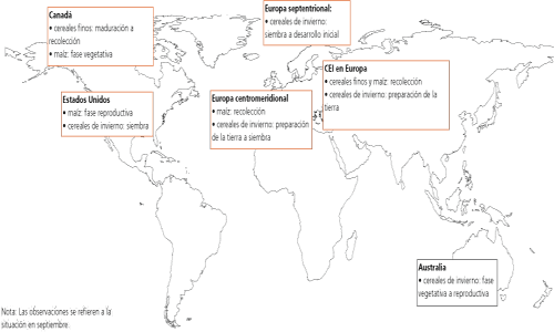 Perspectivas de Cosechas y Situaci�n Alimentaria
