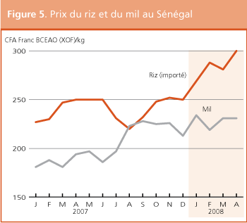 Perspectives de r�colte et situation alimentaire
