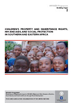 Children's property and inheritance rights, 
HIV and Aids, and social protection in Southern and Eastern Africa 