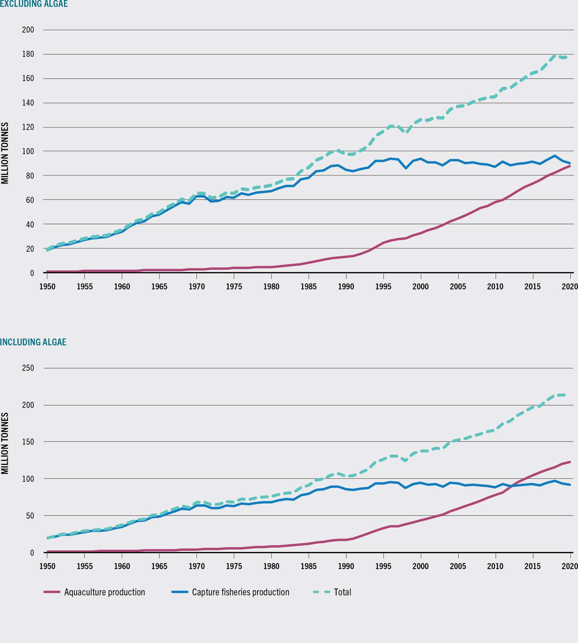 SOURCE: FAO.