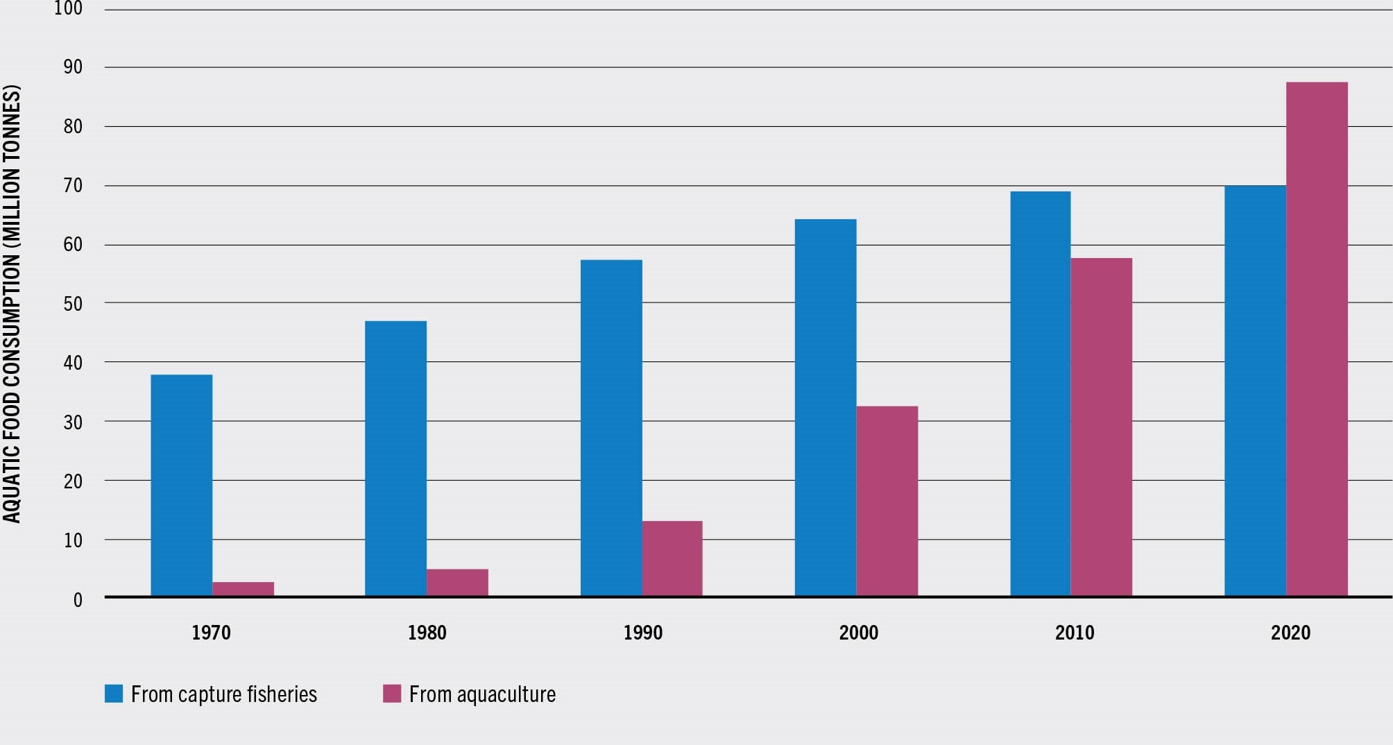 SOURCE: FAO.