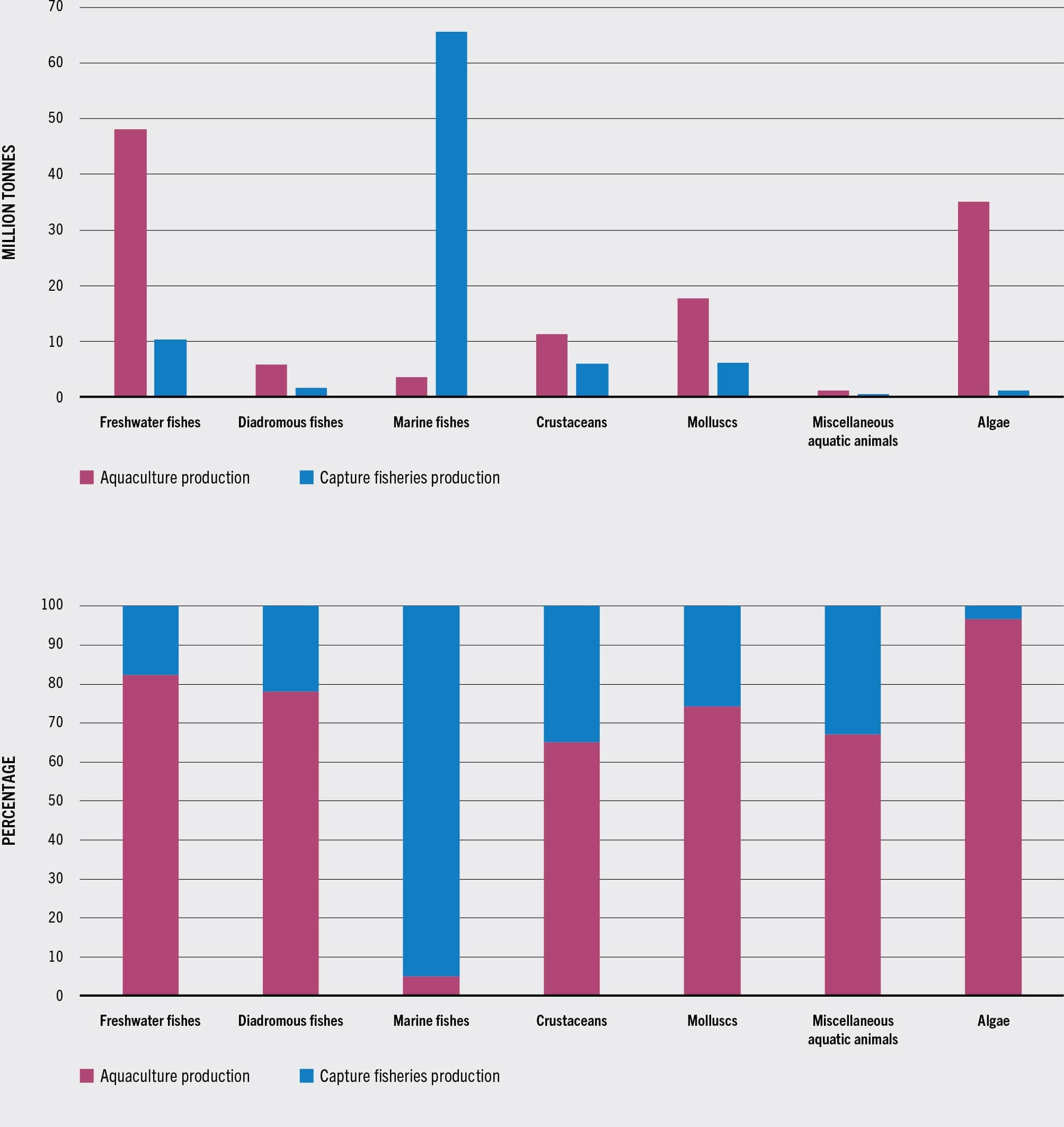 SOURCE: FAO.