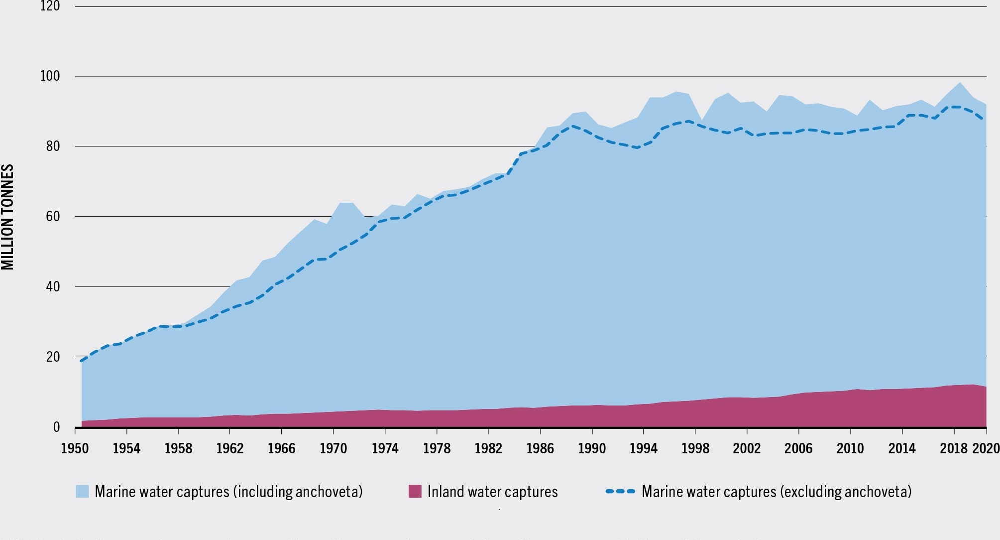 SOURCE: FAO.