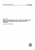 Report of the Regional Workshop on Safety at Sea in Artisanal and Small-scale Fisheries in Latin America and the Caribbean. Paita, Peru, 2&ndash;4 July 2007.