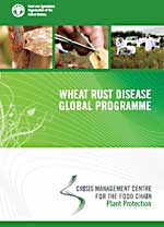 Wheat Rust Disease Gloabl Programme