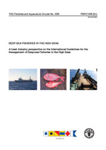 Deep-sea fisheries in the high seas: a trawl industry perspective on the International Guidelines for the Management of Deep-sea Fisheries in the High Seas