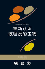 2008 国际马铃薯年 - 重新认识被埋没的宝物