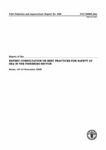 Report of the Expert Consultation on Best Practices for Safety at Sea in the Fisheries Sector. Rome, 10&ndash;13 November 2008.