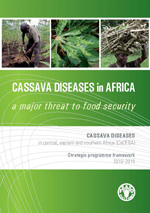 Cassava Diseases in Africa
