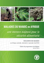 MALADIES DU MANIOC en Afrique centrale, orientale et australe (CaCESA)