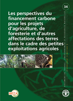 Les perspectives du financement carbone pour les projets d�agriculture, de foresterie et d�autres affectations des terres dans le cadre des petites exploitations agricoles