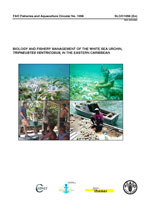 Biology and fishery management of the white sea urchin, Tripneustes ventricosus, in the eastern
Caribbean.