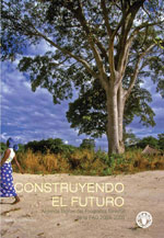 Construyendo el futuro