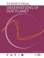 Terrestrial observations of our planet