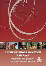 Cadre de programmation par pays